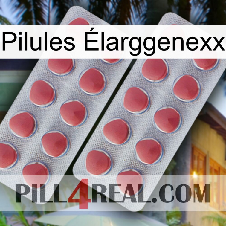 Pilules Élarggenexx 19